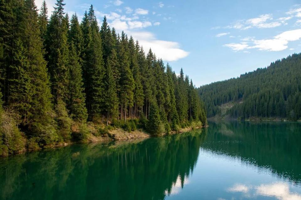 Camping Aviator, Numai Teren, Campare Pentru Rulote Autorulote Personale, Campingul Nu Are Rulote !!! Busteni Luaran gambar